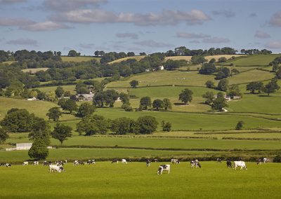The Blackdown Hills AONB