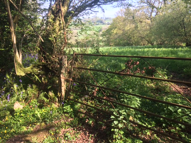 Rusty gate overlooking Devon countryside